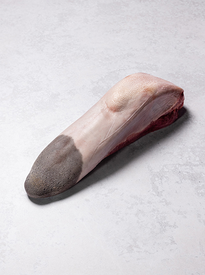 Ocean Beef Tongue