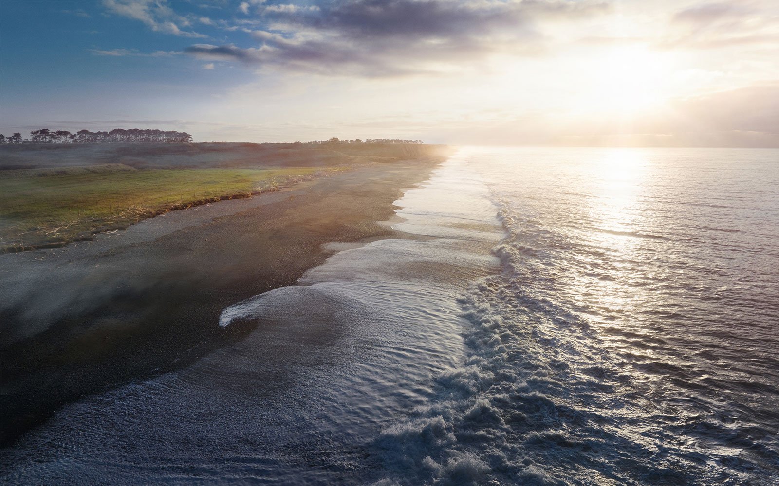 A New Zealand beef farm next to the Pacific Ocean